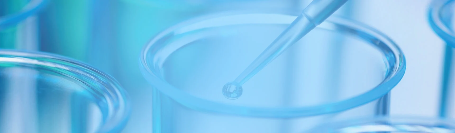 custom polyglutamic acid solubility
